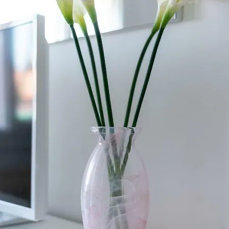 Apartamento Cà Misericordia